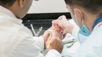 dentist and resident studying a set of fake teeth with braces